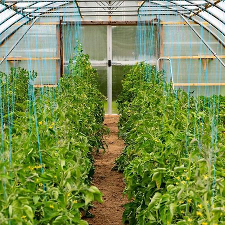 Mothir Joerth Organic Farm Guesthouse In Vallanes Dış mekan fotoğraf
