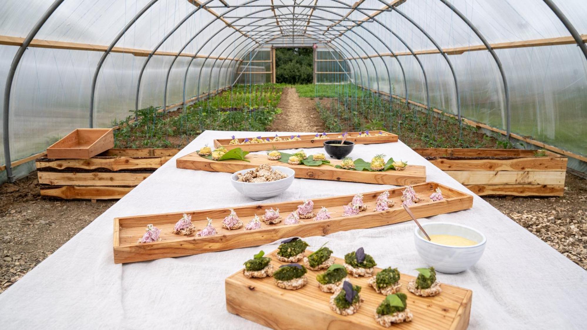 Mothir Joerth Organic Farm Guesthouse In Vallanes Dış mekan fotoğraf