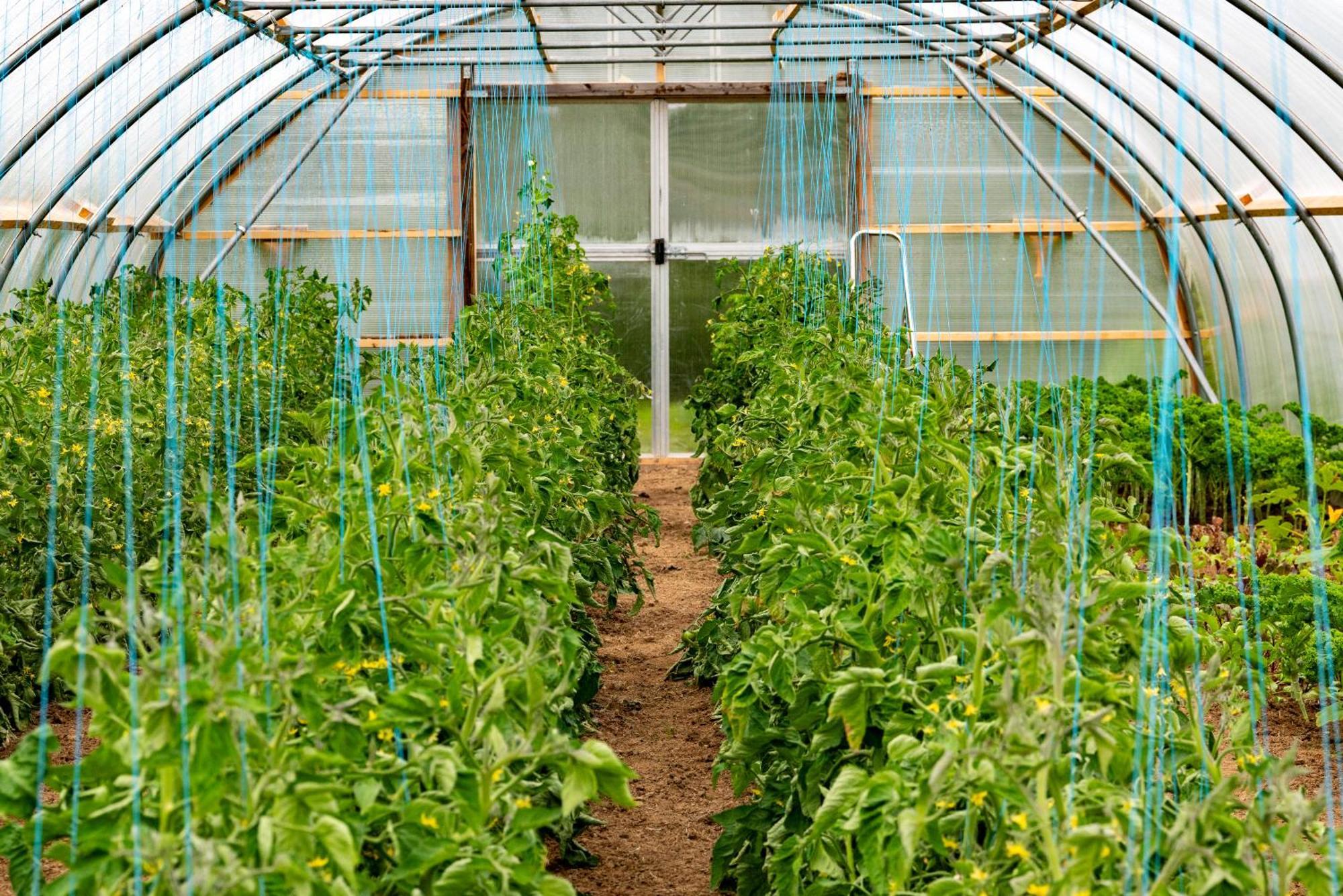 Mothir Joerth Organic Farm Guesthouse In Vallanes Dış mekan fotoğraf
