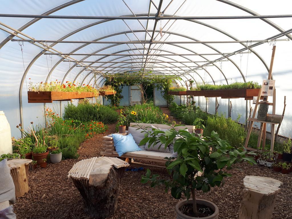 Mothir Joerth Organic Farm Guesthouse In Vallanes Dış mekan fotoğraf